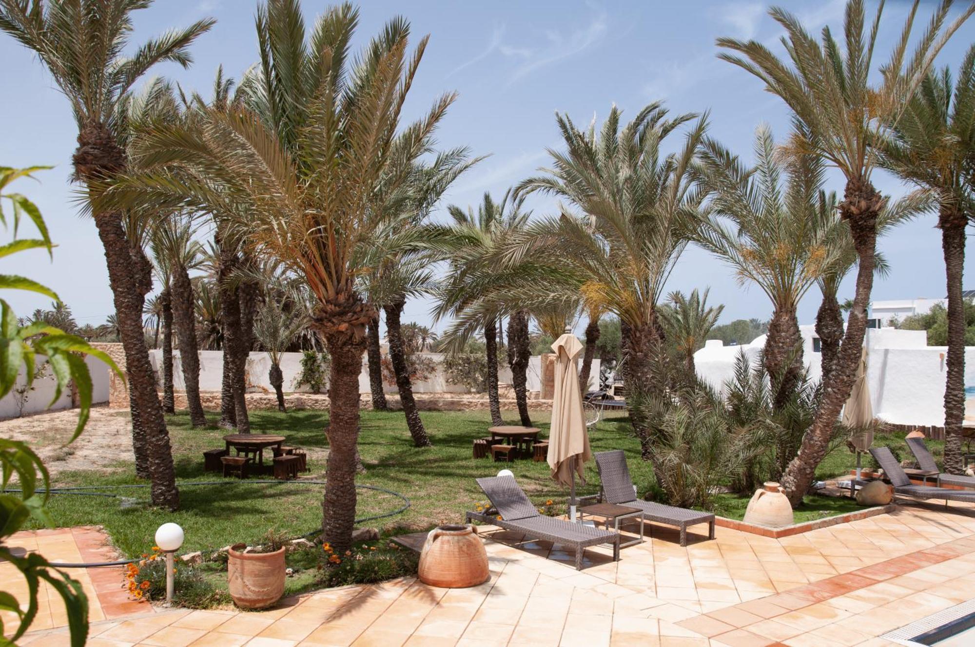Le Patio De Mezraya Bed & Breakfast Mezraia ภายนอก รูปภาพ